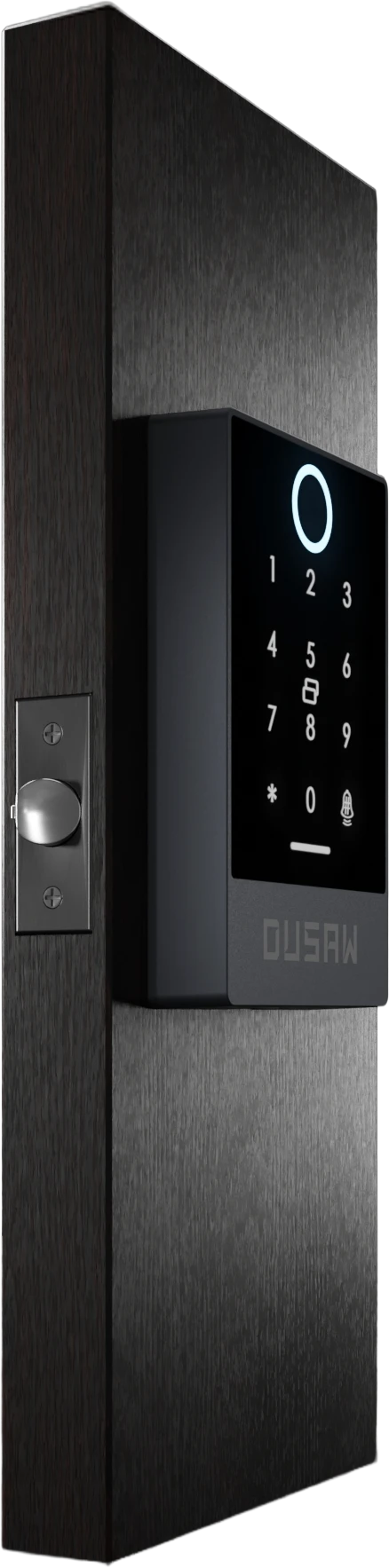 Dusaw Smart Lock