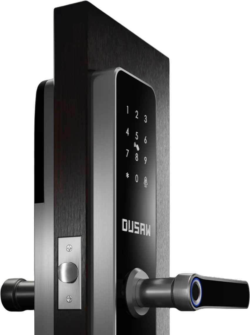Dusaw Smart Lock